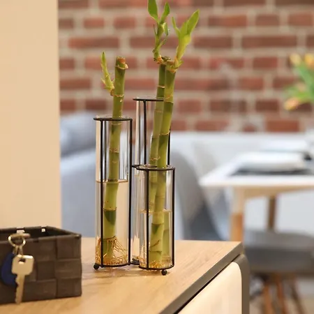 Kopernika Apartment *